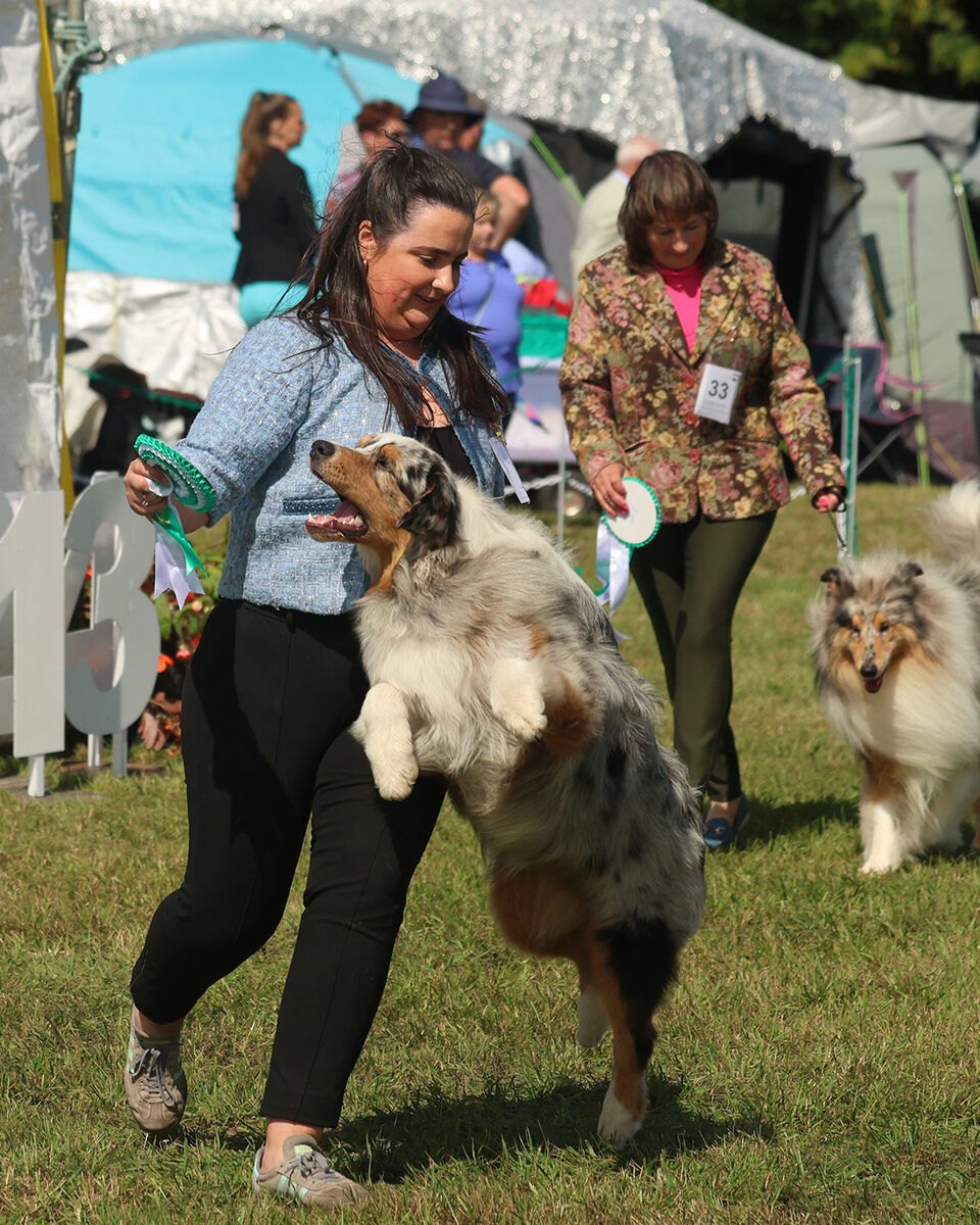 Niamh Casey, Blarney, and Oakley. Pictures: Brendan Gleeson