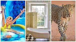 <p>Explore some of this week's best getaway opportunities</p> <p>Explore some of this week's best getaway opportunities</p>