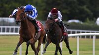 'It’s been a great start to the season' - O’Keeffe on the double in Killarney 'It’s been a great start to the season' - O’Keeffe on the double in Killarney