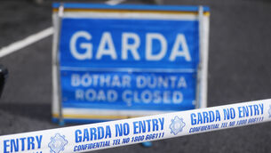<p>A garda van and a patrol car remain parked in front of the building, with gardaí stationed at the entrance to the residence.</p>