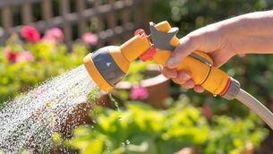 <p>Ireland faced prolonged drought conditions through much of last month, which was found to be one of the hottest, driest, and sunniest Julys on record. File picture</p>