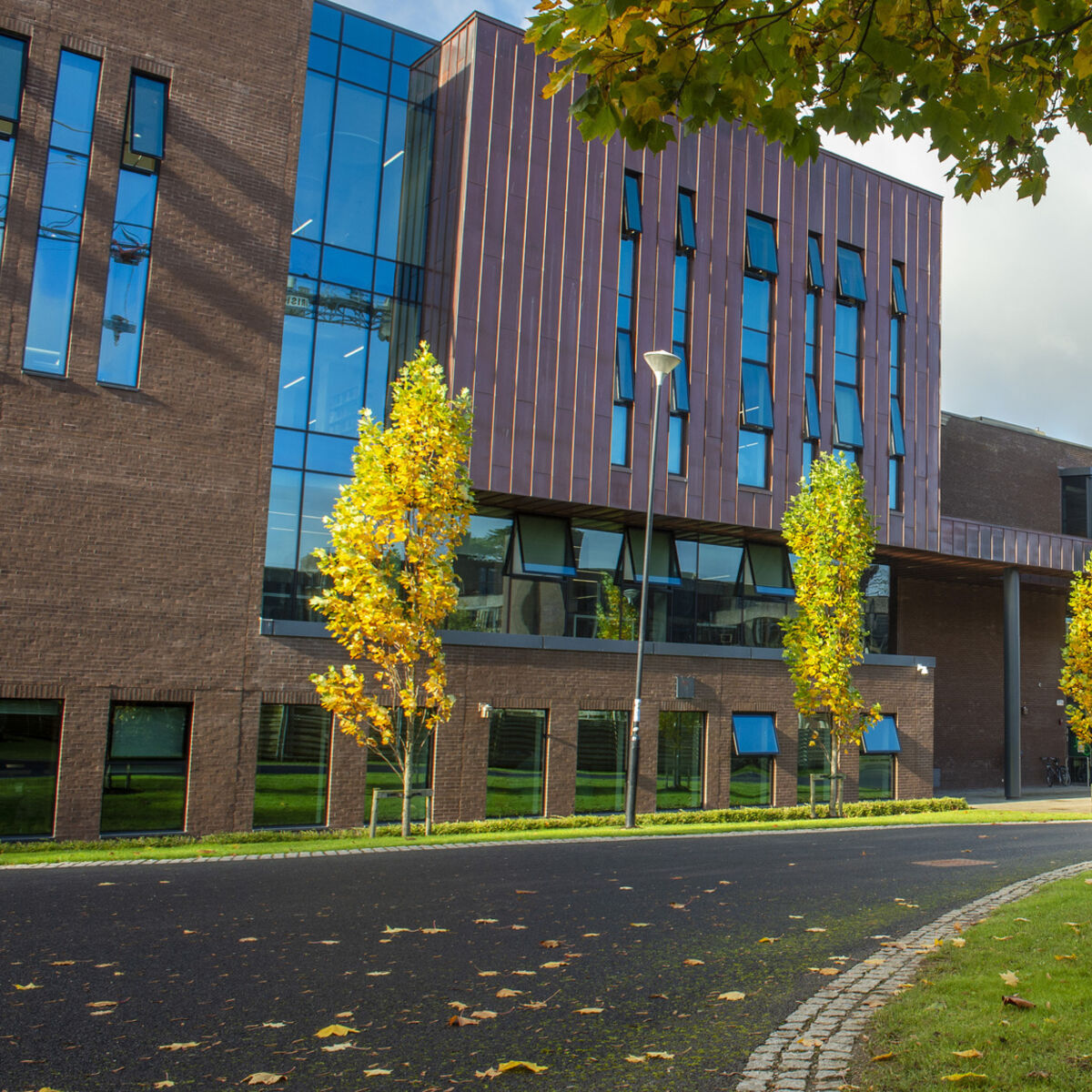 irishexaminer.com - Cianan Brennan - Financial woes of UL's student union the latest in series of governance crises at university
