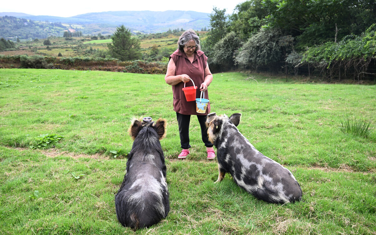 Jean with her Kunekune pigs Rosie and Timmy at Milleens. Picture: Larry Cummins Jean with her Kunekune pigs Rosie and Timmy at Milleens. Picture: Larry Cummins