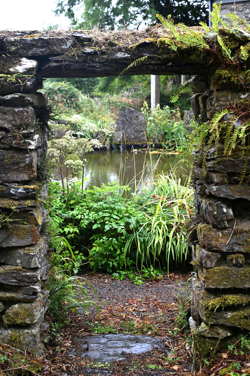 Pond view framed by a stone wall Pond view framed by a stone wall