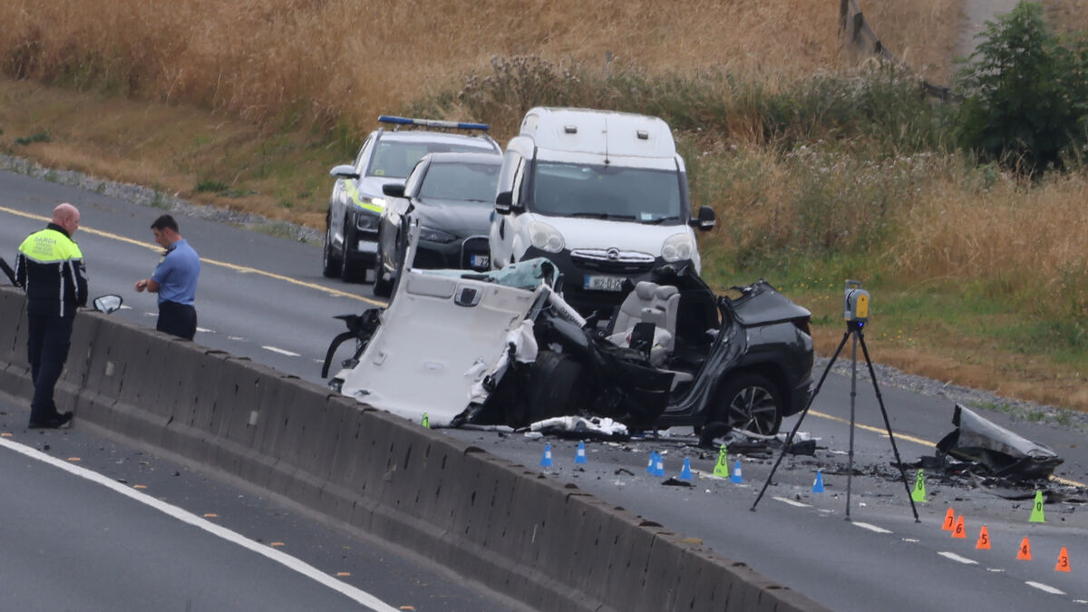 Paul Hosford: After the M9 crash, the rush to ‘do something’ risks missing the real problem