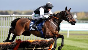 <p>Flooring Porter. Gavin Cromwell has announced the retirement of his staying stalwart Flooring Porter, who was twice a winner at the Cheltenham Festival. Issue date: Friday August 21, 2026. PA Photo. Photo credit should read Mike Egerton/PA Wire.</p>