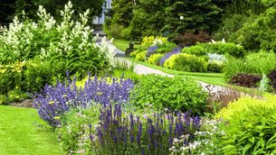 <p>An open garden in aid of Marymount Hospice takes place at the garden of Margaret Naughton at Tara Garden, Fornaught, Donoughmore, Co Cork, on August 23, 11am-5pm. Picture: iStock</p>