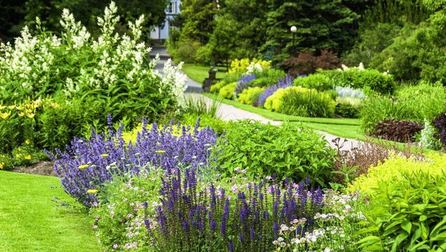 <p>An open garden in aid of Marymount Hospice takes place at the garden of Margaret Naughton at Tara Garden, Fornaught, Donoughmore, Co Cork, on August 23, 11am-5pm. Picture: iStock</p>