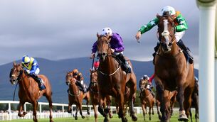 <p>Jagged Edge and Jack Kearney won the Irish Stallion Farms EBF Vincent O'Brien Ruby Stakes for Stephen Thorne at Killarney. Pic: Healy Racing</p>