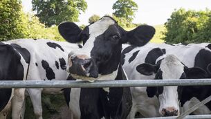 <p>Although farmers retain strong public support, citizens increasingly see the farming lobby as a block on progress. As a consequence, the social contract with farmers is breaking down. Picture: iStock</p> <p>Although farmers retain strong public support, citizens increasingly see the farming lobby as a block on progress. As a consequence, the social contract with farmers is breaking down. Picture: iStock</p>