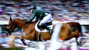 <p>Shane Sweetnam in action at the RDS. Pic: ©INPHO/Dan Clohessy</p> <p>Shane Sweetnam in action at the RDS. Pic: ©INPHO/Dan Clohessy</p>