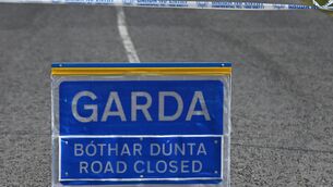 <p>A garda spokesperson said they are appealing for witnesses to come forward.</p> <p>A garda spokesperson said they are appealing for witnesses to come forward.</p>