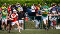 Cork Senior A Hurling: Watergrasshill march on to knockouts as Castlelyons crash out