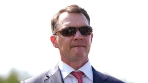 <p>Aidan O’Brien hinted Diamond Necklace might step up in trip. Pic: Joe Giddens/PA Wire.</p> <p>Aidan O’Brien hinted Diamond Necklace might step up in trip. Pic: Joe Giddens/PA Wire.</p>