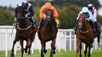 Chantez pounces late to secure shock win in Naas