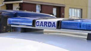 <p>Armed response gardaí responded following calls about a ‘riot’ in the Spring Lane area of Ballyvolane in the northside of Cork city this afternoon</p>