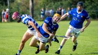 Barron and Walsh inspire Fourmilewater to first ever Waterford senior final 