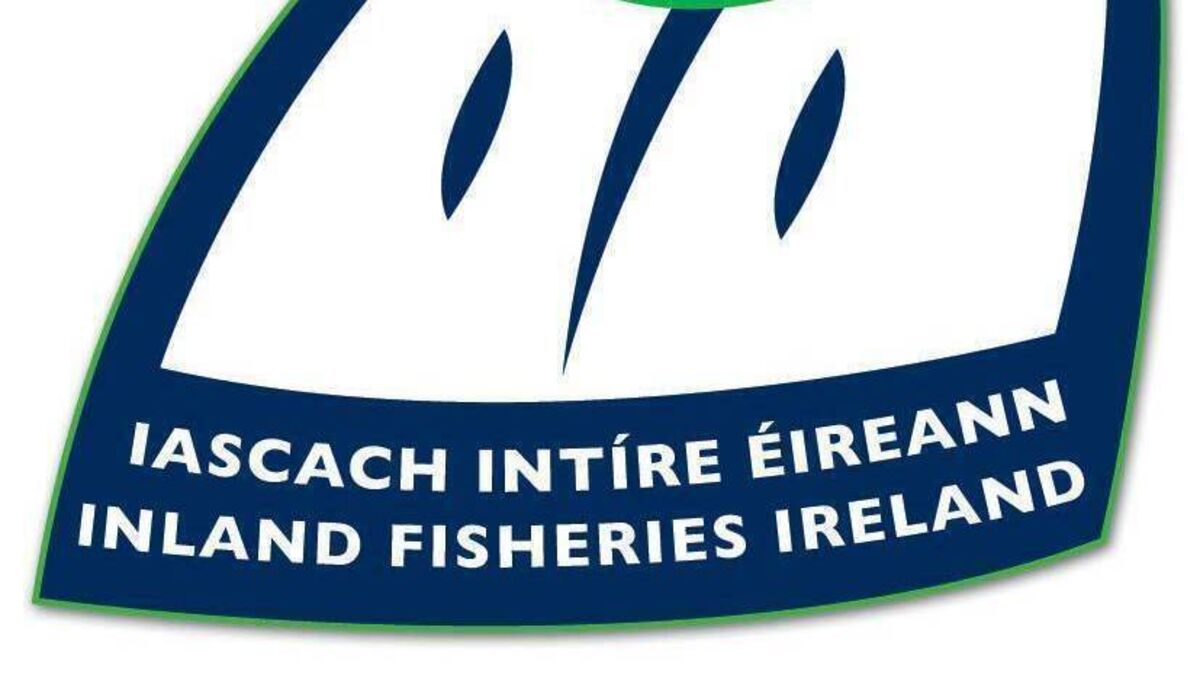 Inland Fisheries Ireland used communications agency to prepare for Dáil committee hearing