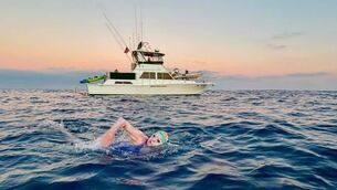 <p>Maura Twomey swimming as dawn breaks in California</p> <p>Maura Twomey swimming as dawn breaks in California</p>