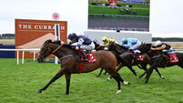 In-form track specialist Harry's Hill can strike at Bellewstown