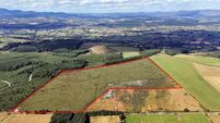 64ac Waterford holding guiding €7,500/ac