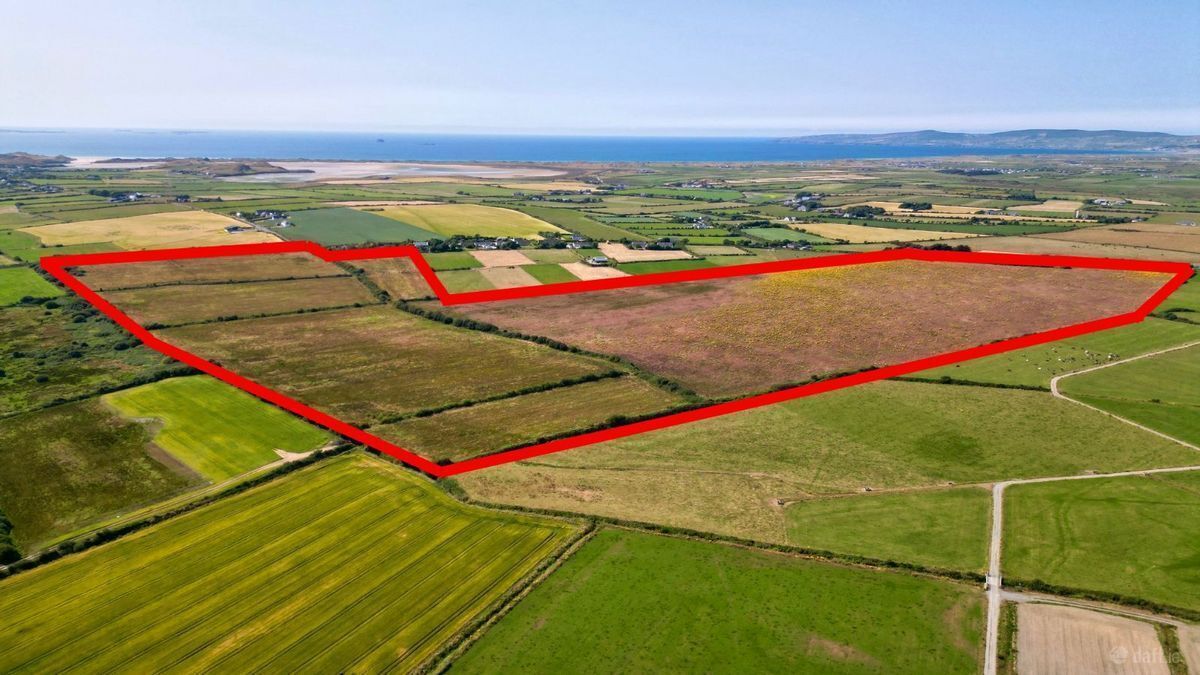 View of 106-acre farm at Graigue, Ardfert, looking northwest. View of 106-acre farm at Graigue, Ardfert, looking northwest.