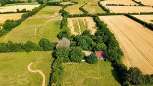 <p>A section of the 55-acre farm for auction, Thomastown, Kilcullen, Co. Kildare.</p>