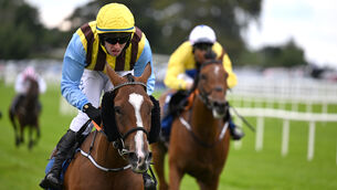 <p>Ocean Murphy and Darragh O'Keeffe won the Hollymount Nursing Home 4-Y-O Handicap Hurdle at Ballinrobe for owner Julie Thomas and trainer Philip Rothwell. Pic: Healy Racing</p>