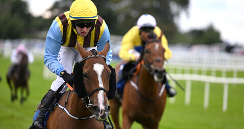 Ocean Murphy leads them home as Darragh O'Keeffe doubles up at Ballinrobe