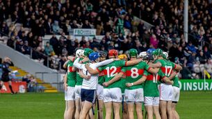 <p>Champions Loughmore-Castleiney required a backdoor route to the Tipperary SHC knockout stages. Pic: ©INPHO/Paul Barrett</p>