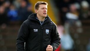 <p>Waterford boss Stephen Molumphy. Photo: INPHO</p>