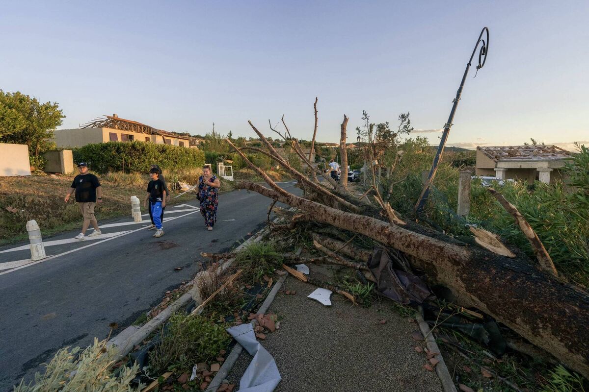Pedestrians walk past a toppled tree after a tornado struck Pomas, southwestern France on August 24, 2026. Photo: Idriss Bigou-Gilles/AFP via Getty Images