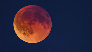 <p>The moon is likely to glow a muted coppery red colour later this week. Picture: Patrick Pleul/dpa via AP</p>