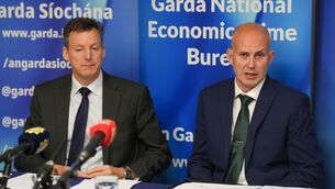 <p>Detective Inspector Alan Govern from the Garda National Economic Crime Bureau and Detective Sergeant Niall Smith speaking to members of the media in Dublin on Tuesday. Picture: Niall Carson/PA</p>