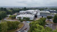 Boston Scientific staff in Cork and across Ireland told of global outage