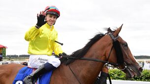 <p>Dylan Browne McMonagle. Pic: Healy Racing</p>