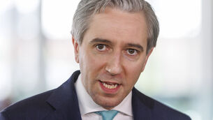 <p>Finance minister Simon Harris said that that the deficit in national infrastructure in Ireland means spending is required.</p>