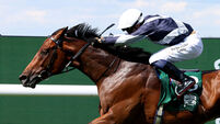 Enceladus in St Leger mix for O’Brien