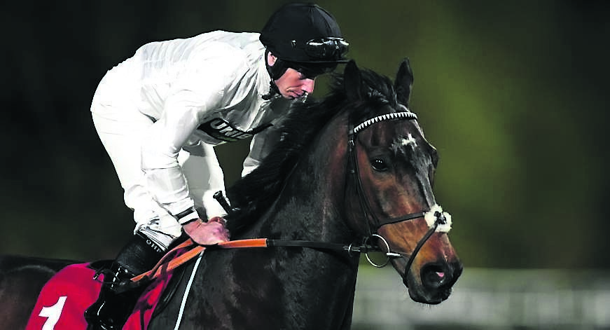 Henderson delays Constitution Hill's return for Kempton date