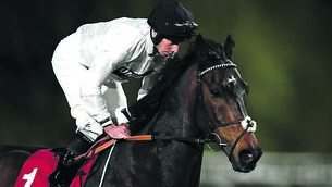 <p class="contextmenu internal_Caption">Constitution Hill will return for the September Stakes at Kempton. <span class="contextmenu emphasis CaptionCredit">Picture: John Walton/PA</span>
</p> <p class="contextmenu internal_Caption">Constitution Hill will return for the September Stakes at Kempton. <span class="contextmenu emphasis CaptionCredit">Picture: John Walton/PA</span>
</p>