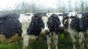 <p>'As I type this, the rain is beating down outside, but is it too little, too late? It is the end of August, and many parts of the country have a 100mm soil moisture deficit.'</p>