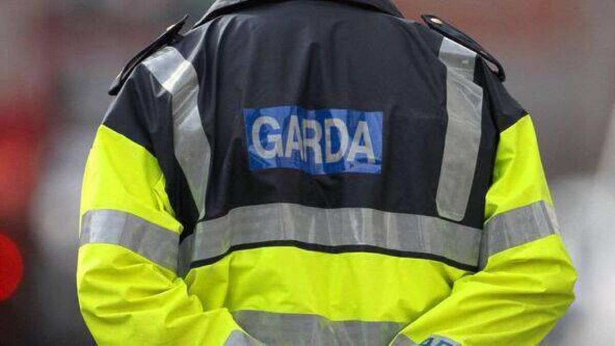 Woman (20s) dies after single-vehicle collision in Dublin