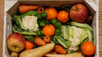 Fruit and Vegetables stock images