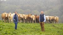 Dawn Meats lowers Scope 1 and 2 emissions by 77%