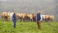 Dawn Meats lowers Scope 1 and 2 emissions by 77%