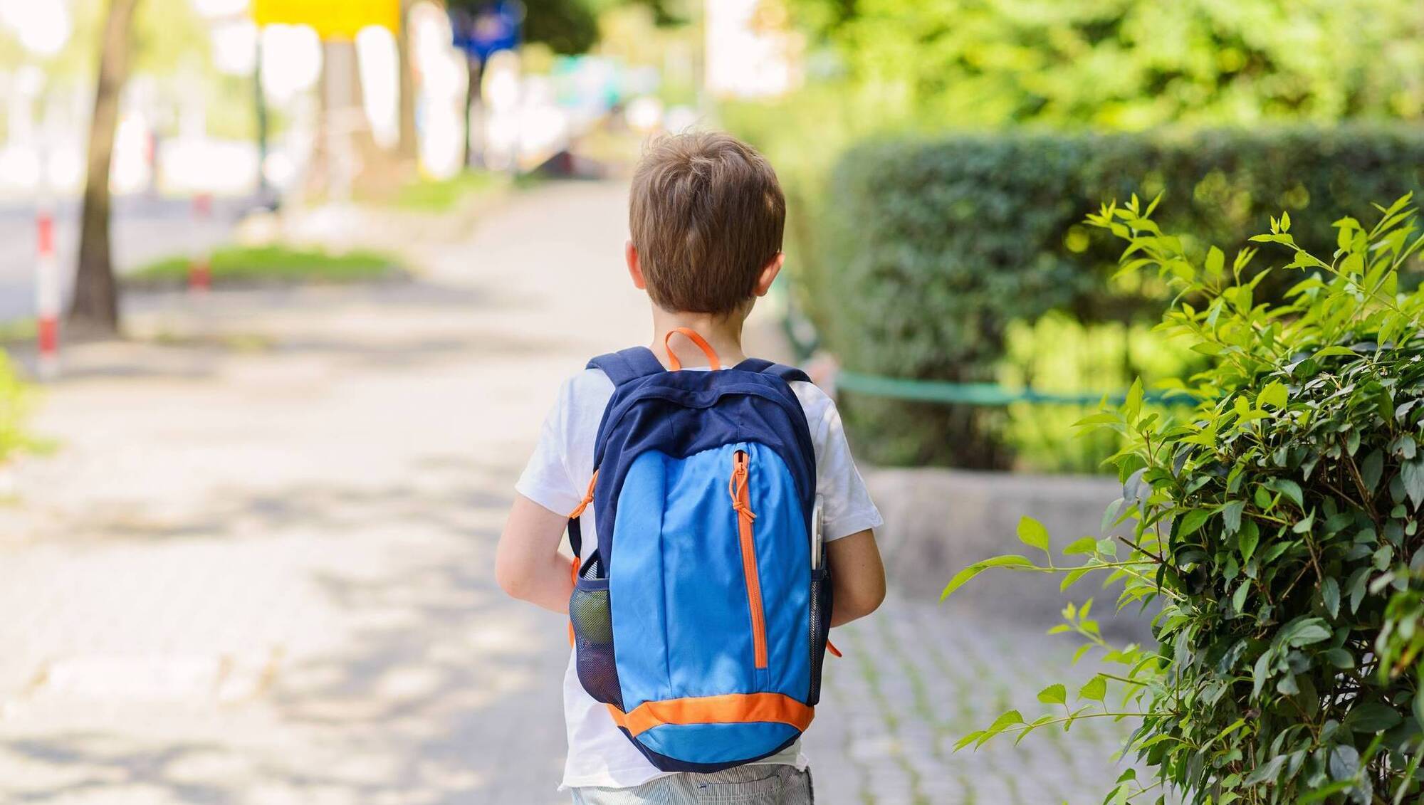 Bernard O'Shea: Back-to-school time, but what does it mean for me?