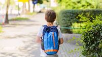 iStock-594078328.jpg Little 7 years schoolboy going to school.