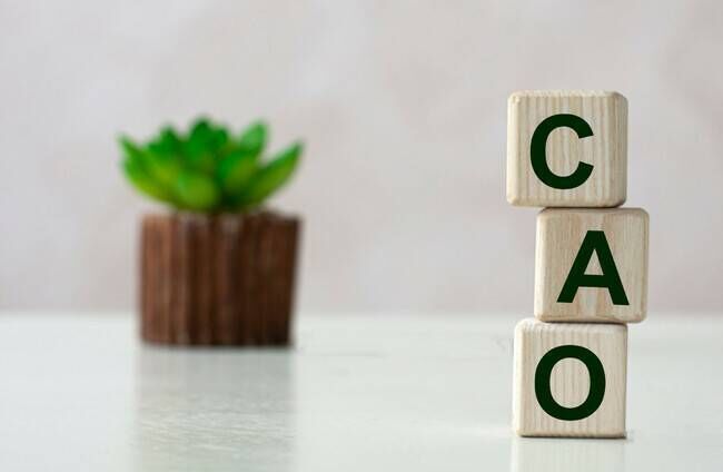 The Central Applications Office (CAO) processes applications; see cao.ie for more information. 
