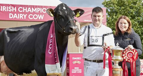 ‘Game over’: Ann completes title hat-trick at the Baileys