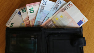 <p>At the end of March, households held about €17.6bn of investments in fund shares, accounting for 50% of total household security holdings.</p>